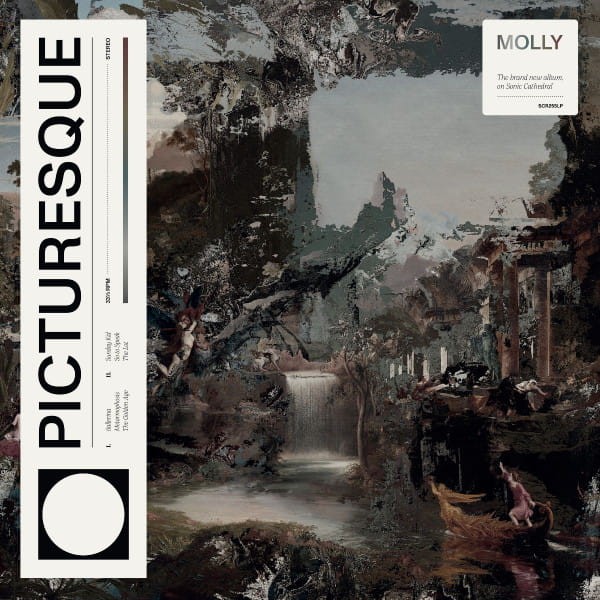 Molly - Picturesque