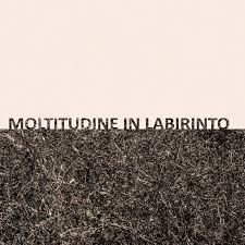 Gigi Masin, G. Caprioli - Moltitudine In Labirinto