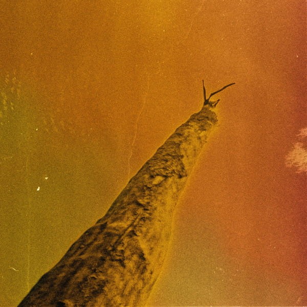 Oberland, Dargent, Elieh, Halal - SIHR