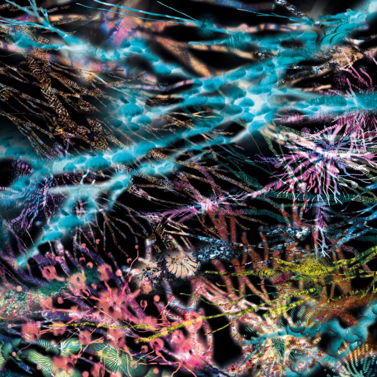 Likwid Continual Space Motion - The Remedy