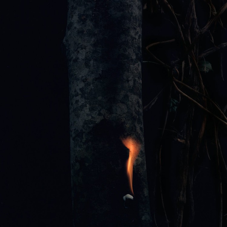 BZDP - Jump Ship, Sit Lean, Be Still, Stand Tall