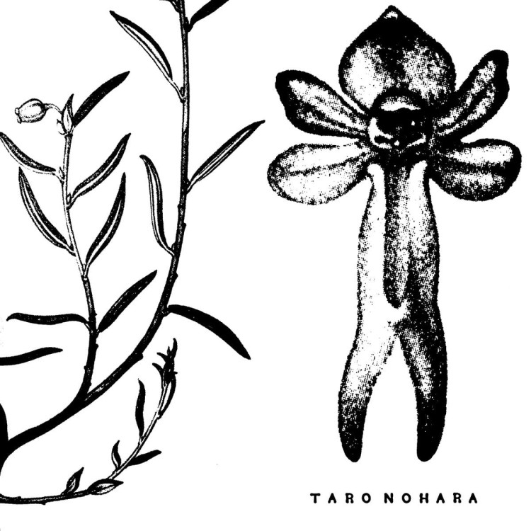 Taro Nohara - Poly-Time Soundscapes