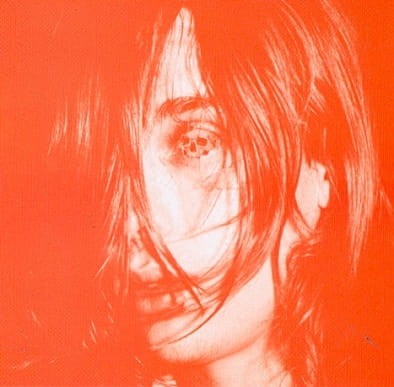 Deerhunter - Microcastle / Weird Era Cont.