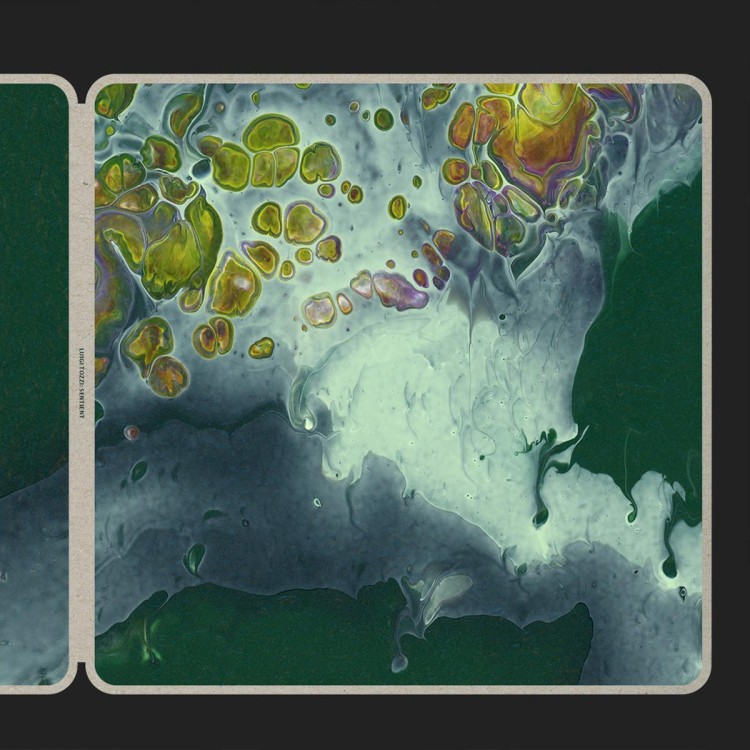 Luigi Tozzi - Sentient 12''