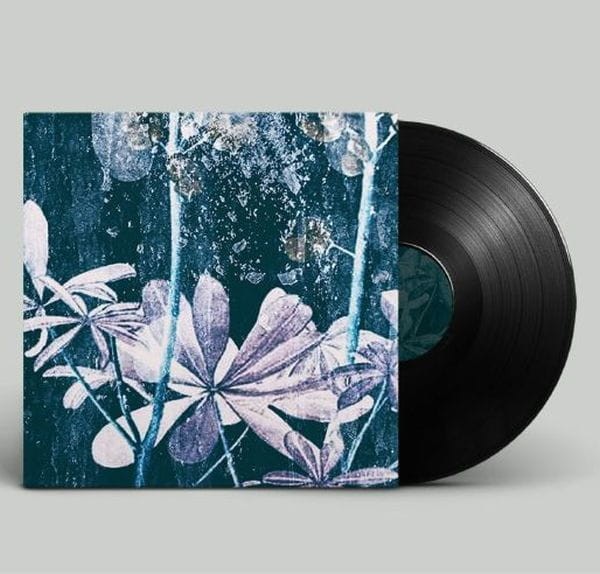 Pan Thorarensen - Ljóstillífun