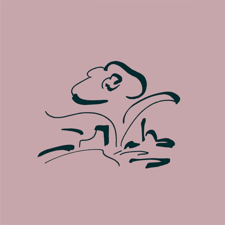 Lullatone - Music for My Friend's Flower Shop [MC]