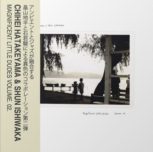 Chihei Hatakeyama - Magnificent Little Dudes Vol.2