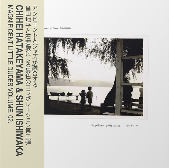 Chihei Hatakeyama - Magnificent Little Dudes Vol.2
