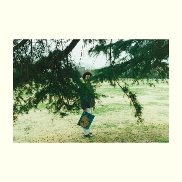 Aru-2 - Anida [JP 24]