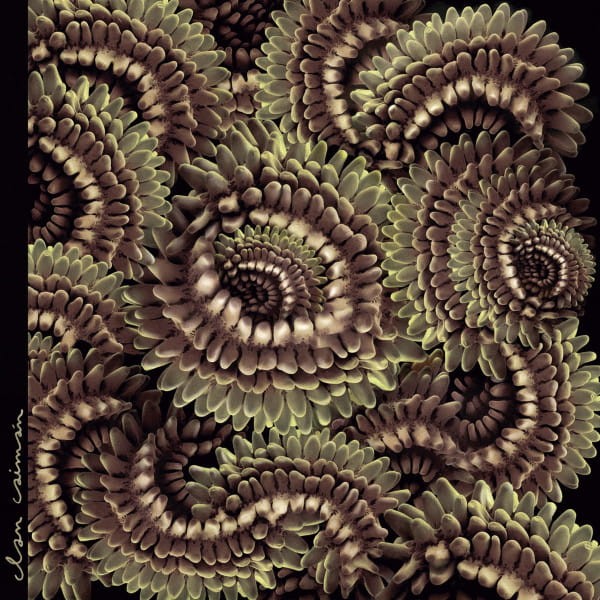 Clan Caimán - Pica-Pau [JP 24']