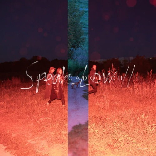 Lucia Cadotsch - Speak Low II