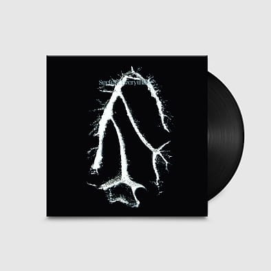 Seefeel - Everything Squared