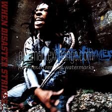 Busta Rhymes - When Disaster Strikes... [Limited]