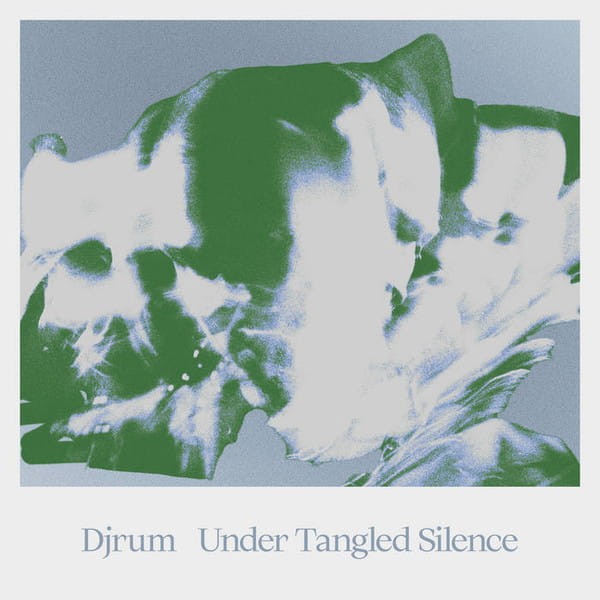 DJ Rum - Under Tangled Silence