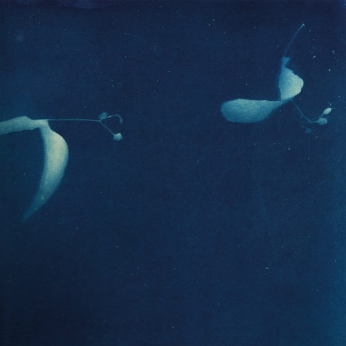 Miki Yui - As If.jpg