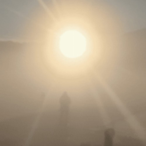 Florian T M Zeisig - A New Life