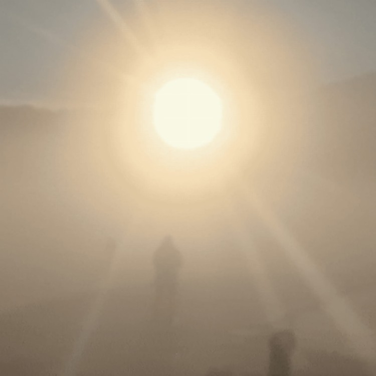 Florian T M Zeisig - A New Life