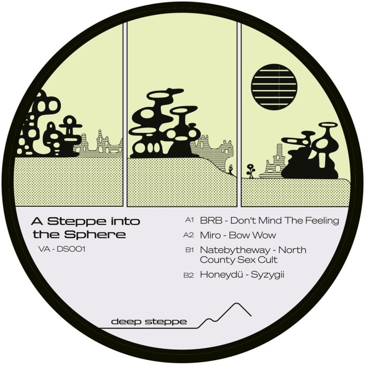 Various - A Steppe Into The Sphere 12"