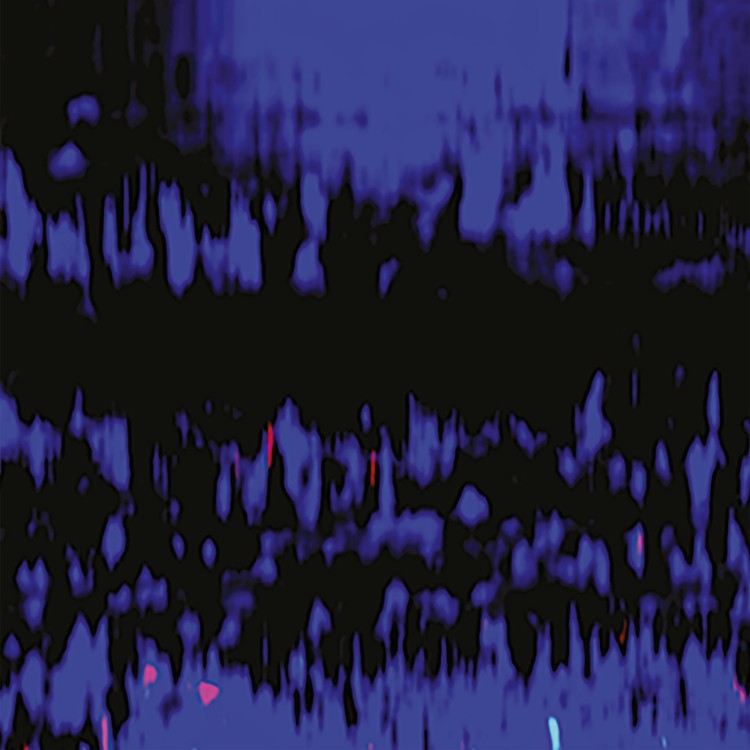 Valentino Mora - Biotope