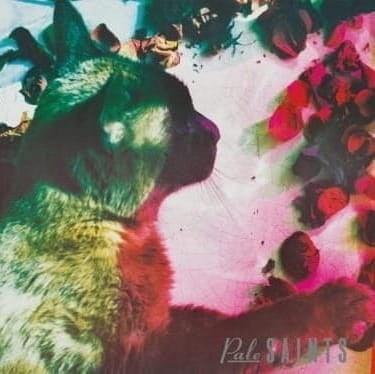 Pale Saints - The Comforts Of Madness.jpg