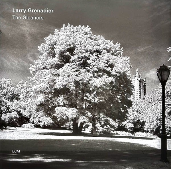 Larry Grenadier - The Gleaners