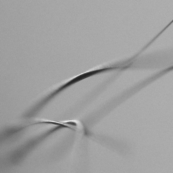 Slntsqencs - Haar [MC]