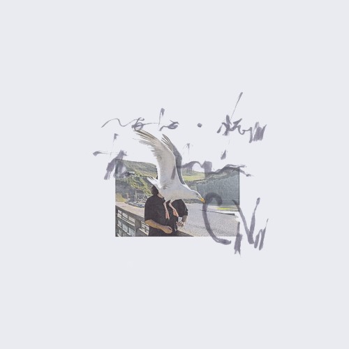 Ciro Vitiello - notes from the air