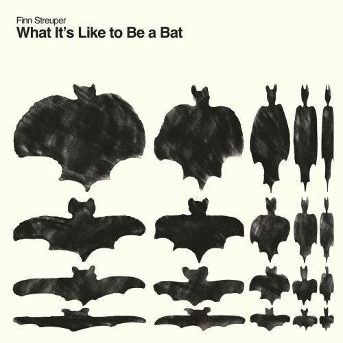 Finn Streuper - What It's Like to be a Bat