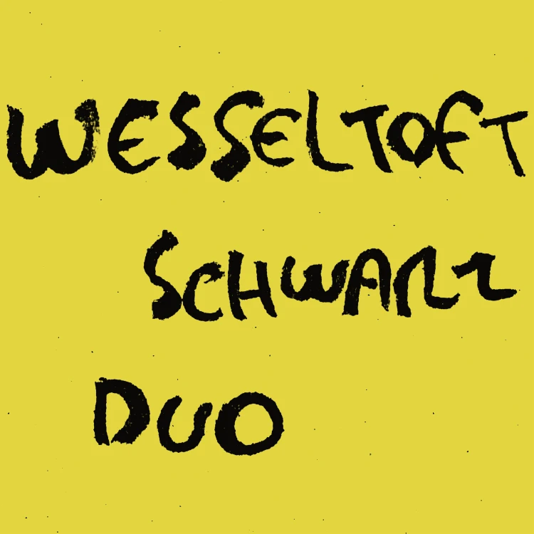 Bugge Wesseltoft, Henrik Schwarz - Duo [Winyl]