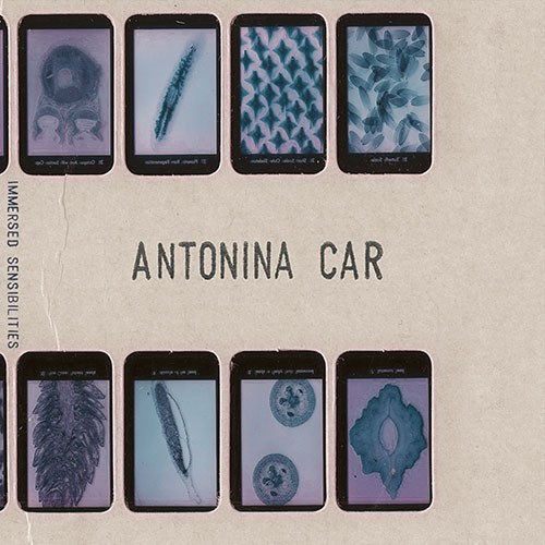 Antonina Car – Immersed Sensibilities