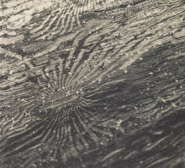 Raphael Rogiński - Talan [CD]