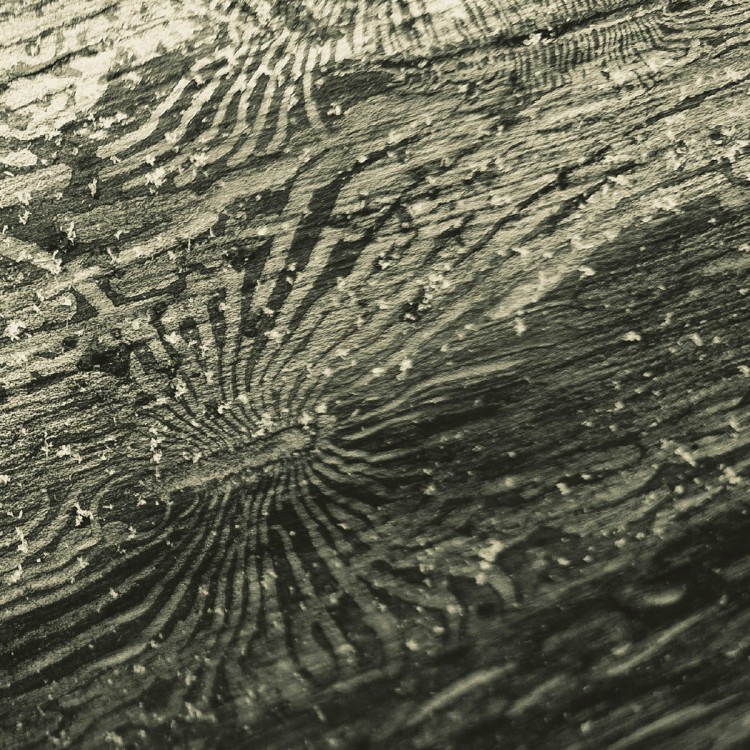 Raphael Rogiński - Talan [RE, Silver]