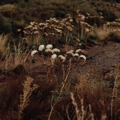 Shaolin Afronauts - The Fundamental.. Part 2