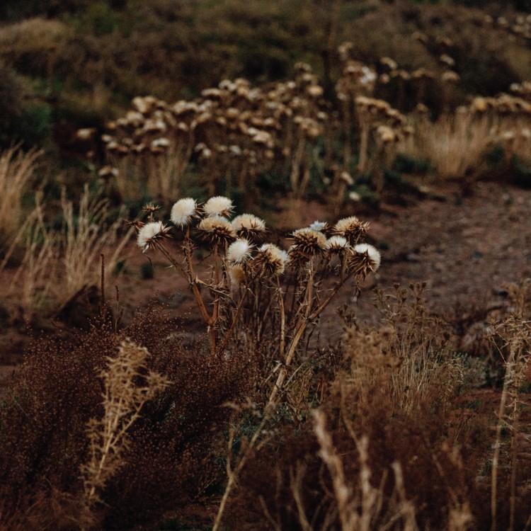 Shaolin Afronauts - The Fundamental.. Part 2