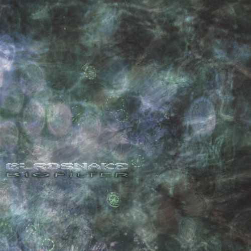 Birdsnake - Biofilter [Winyl]
