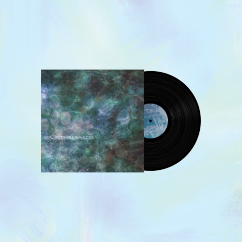 Birdsnake - Biofilter [Winyl]