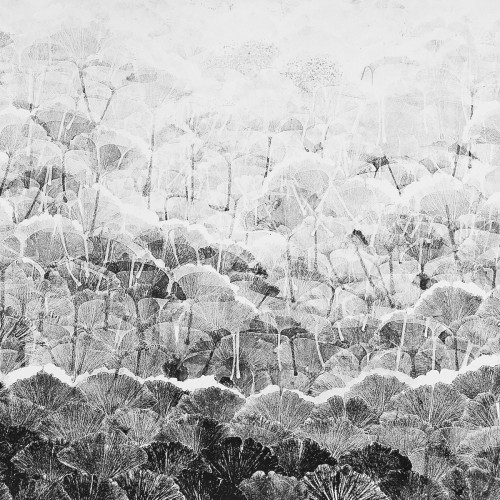 Jutra – A Mid Sized Universe [Winyl]