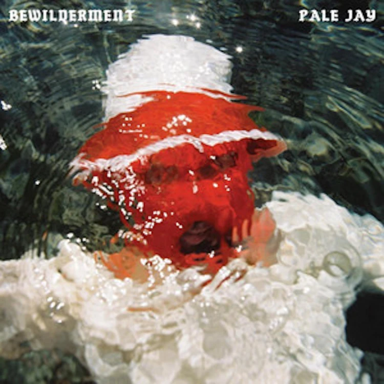Pale Jay - Bewilderment.jpg