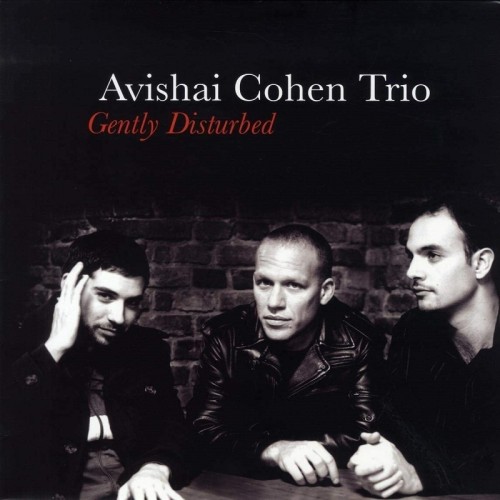 Avishai Cohen Trio – Gently Disturbed [NM/NM]
