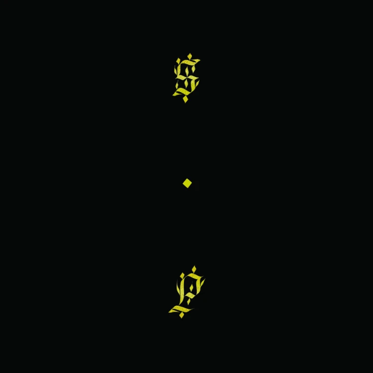 Shabazz Palaces – Black Up [Winyl]