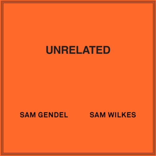 Sam Gendel & Sam Wilkes – Unrelated [Winyl]