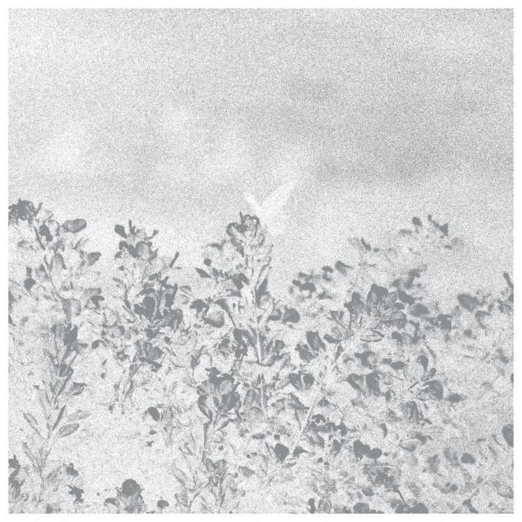 Marwan – Troebel Water [EP]
