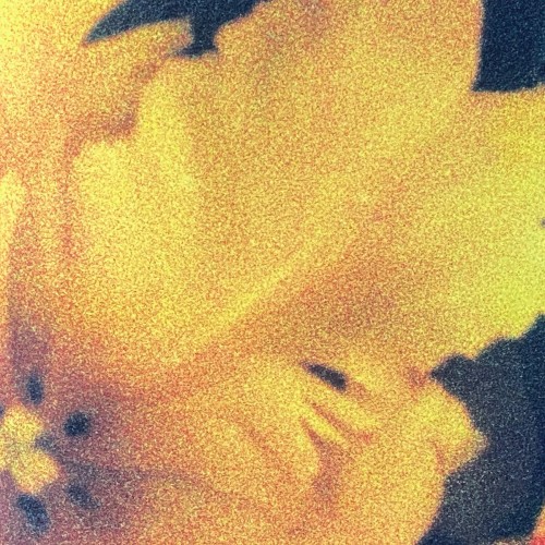 nthng – Last Light Of The Sun [Winyl]