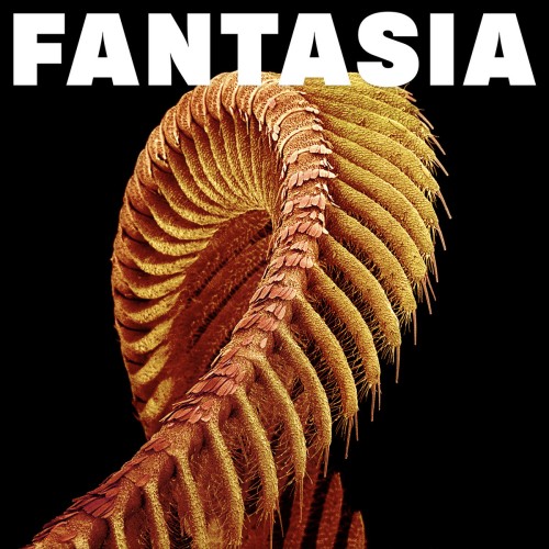 SLIFT – Fantasia [Winyl]