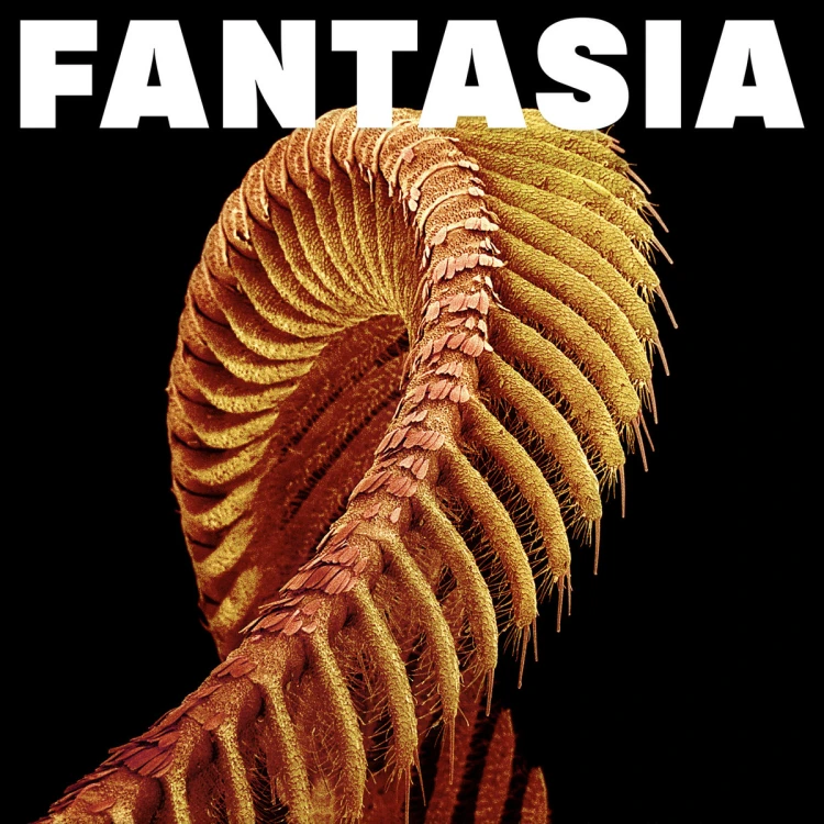 SLIFT – Fantasia [Winyl]