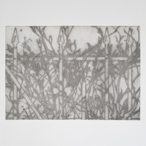 Aldana Duoraan & Tomáš Niesner – Plot [Winyl]
