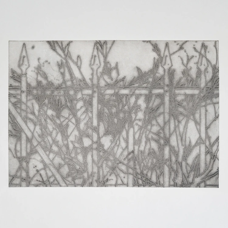 Aldana Duoraan & Tomáš Niesner – Plot [Winyl]