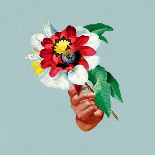 Maribou State – Kingdoms In Colour [Winyl]