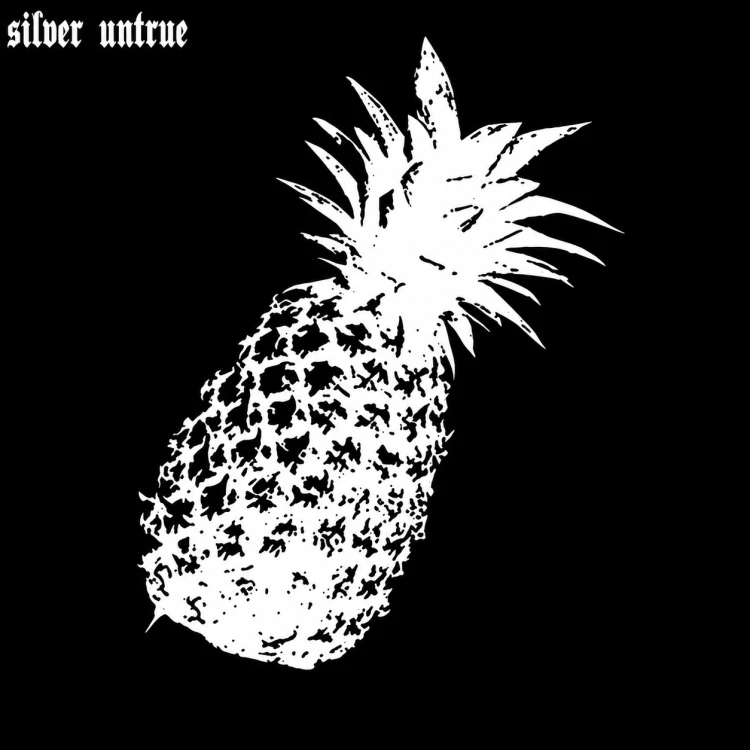 Meeting By Chance – Silver Untrue [Winyl]