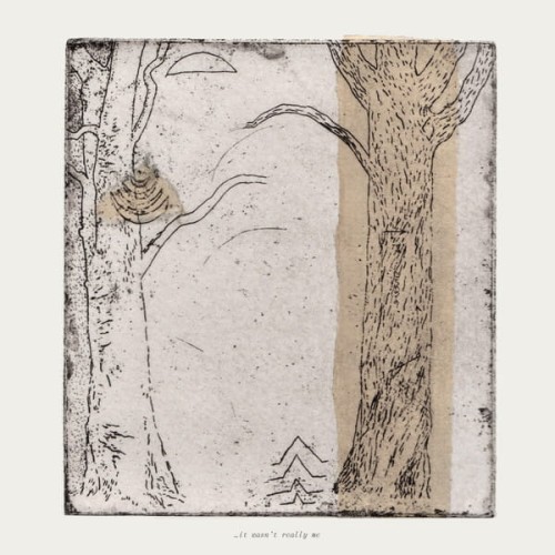 Various - ...it wasn't really me